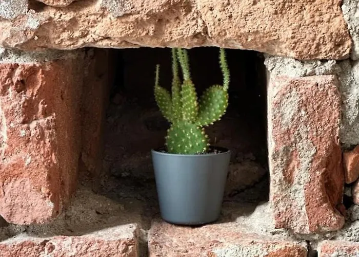 Domus Chiara تورينو