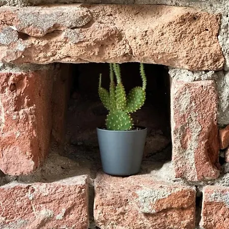 Domus Chiara 토리노